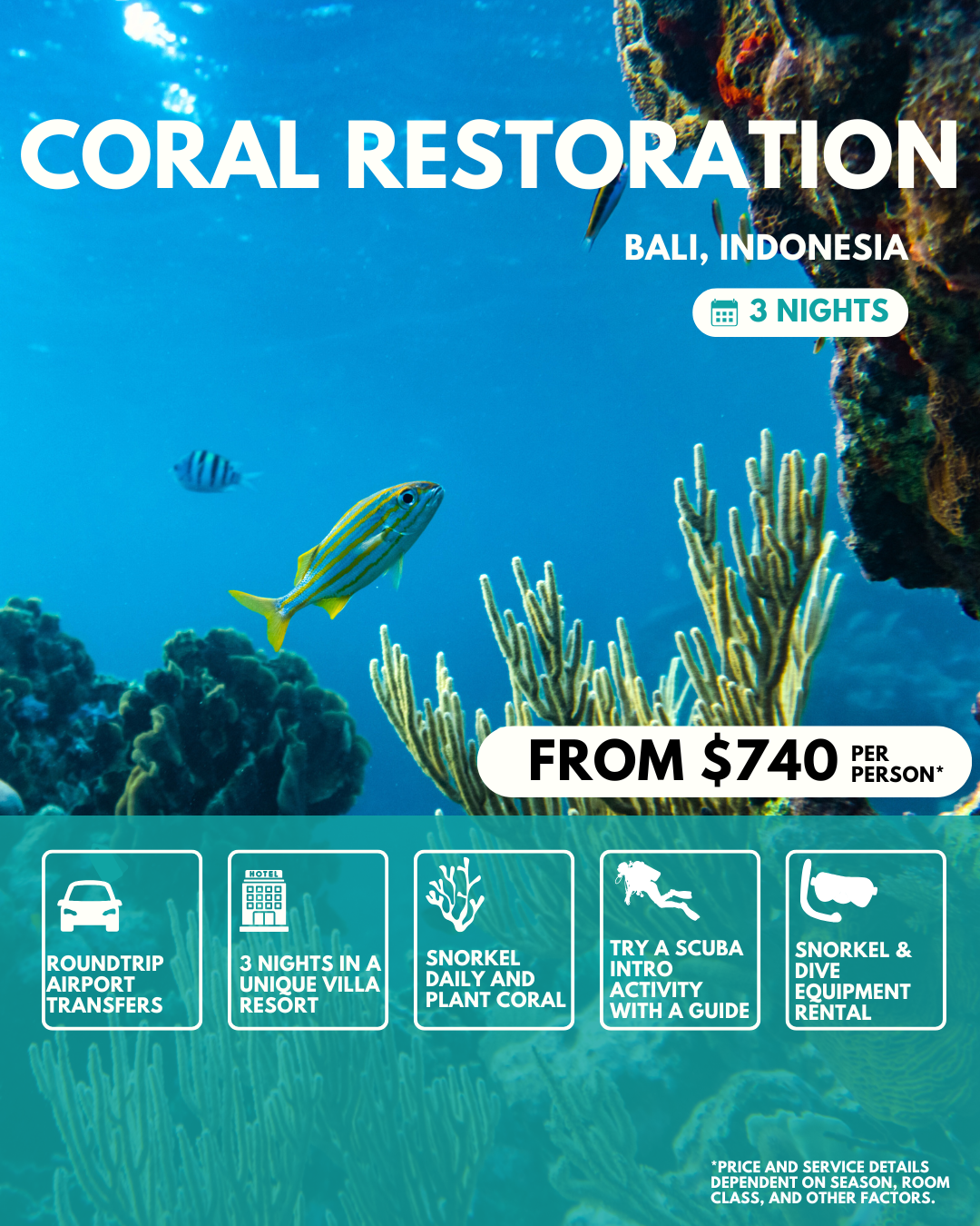 4 Day Coral Restoration