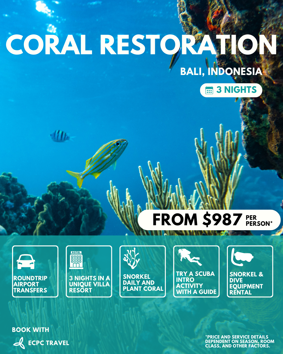 4 Day Coral Restoration