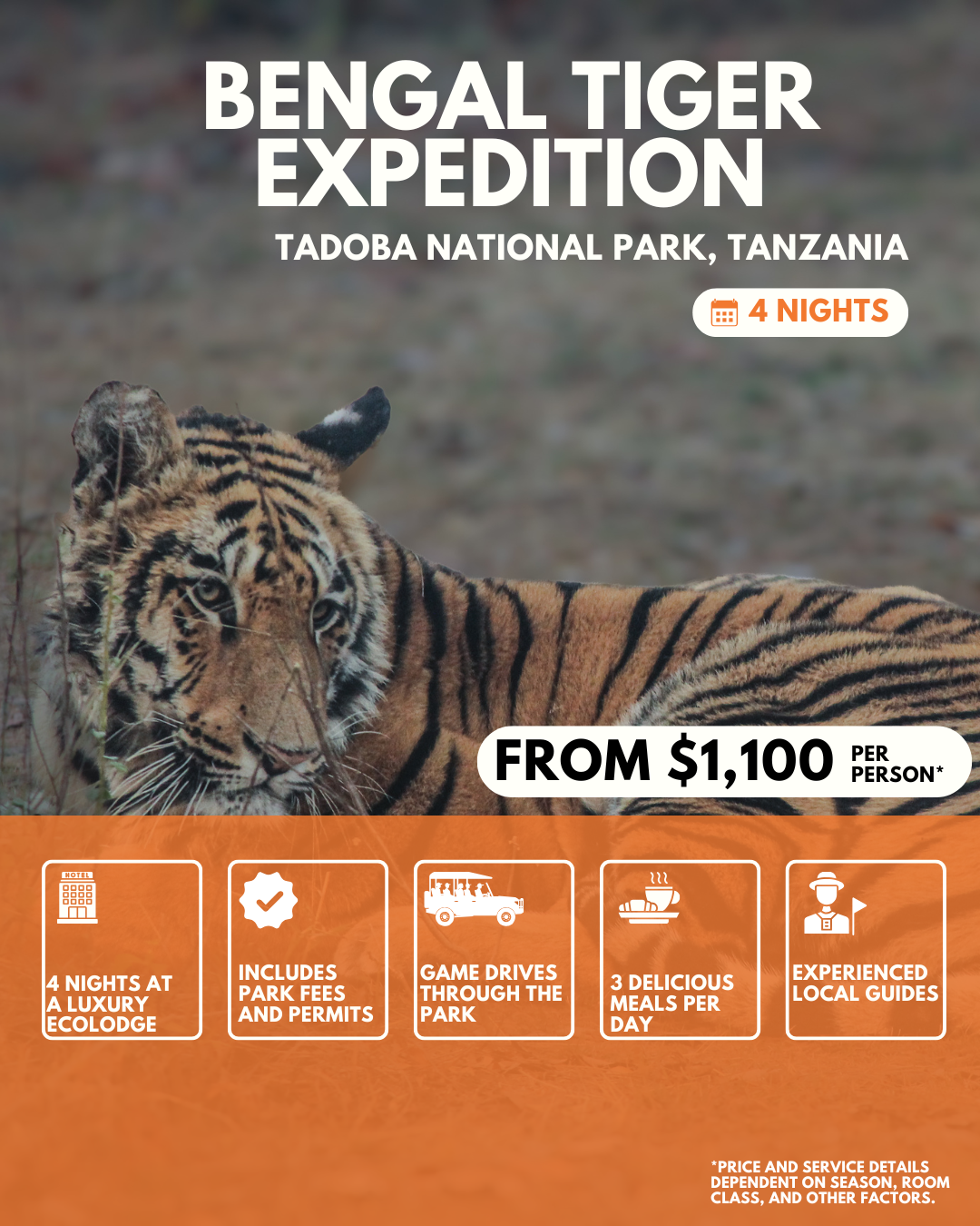 5 Day Bengal Tiger Expedition