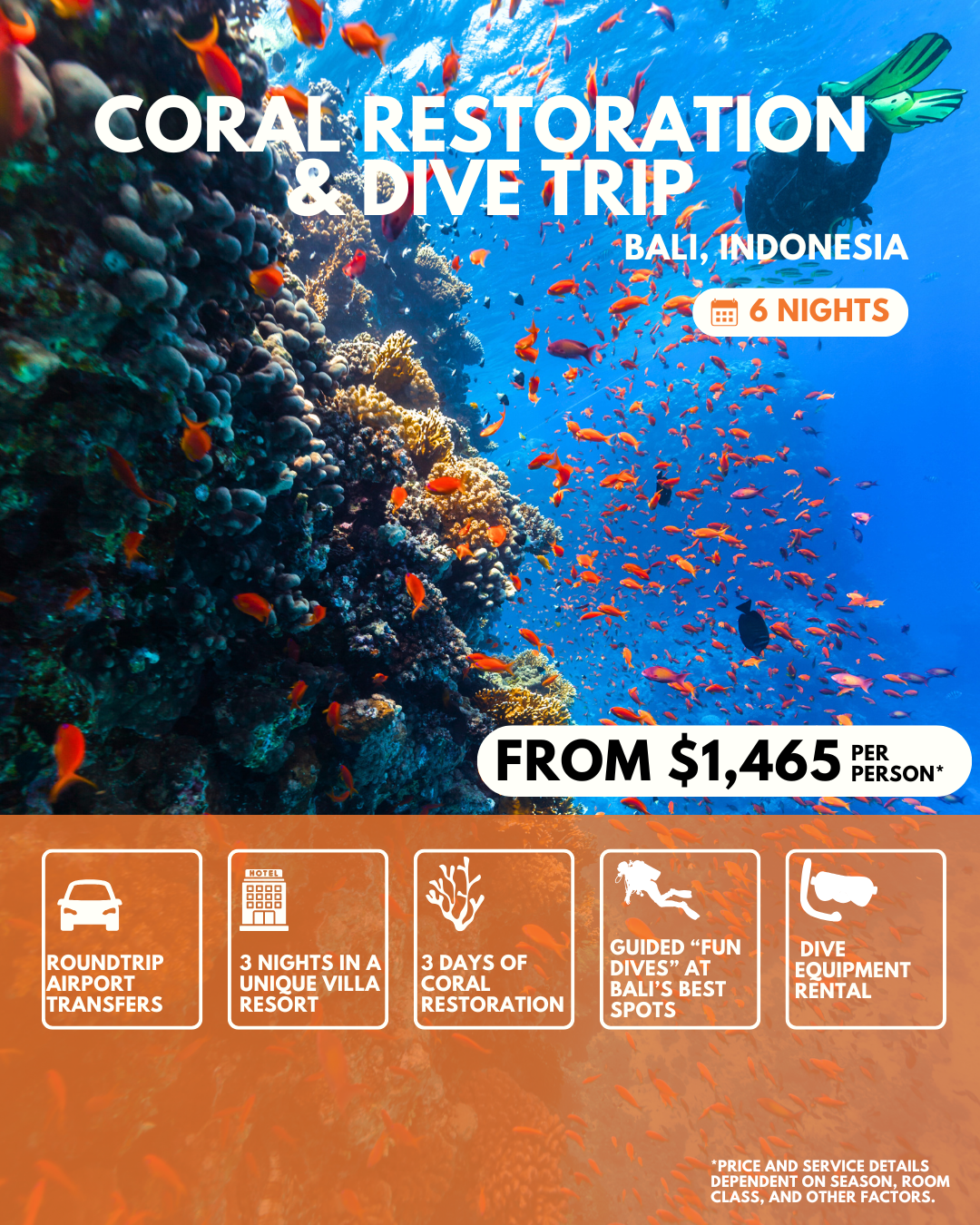 7 day Coral Restoration & Dive